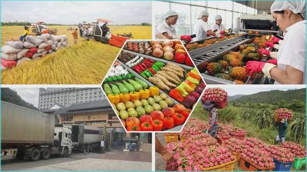 Giá trị xuất khẩu nông lâm thủy sản năm 2024 đạt mức cao kỷ lục 62,5 tỷ đô la.