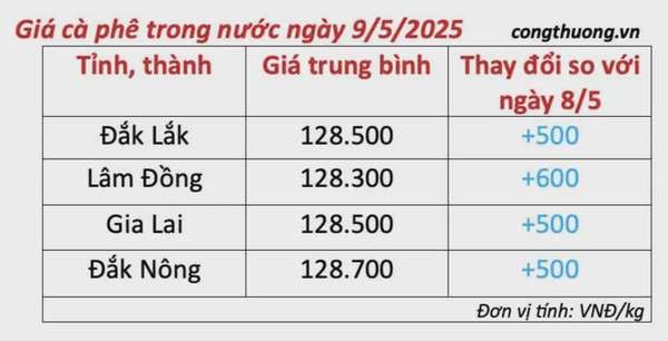 Dự báo giá cà phê ngày mai 10/5/2025, trong nước giảm nhẹ