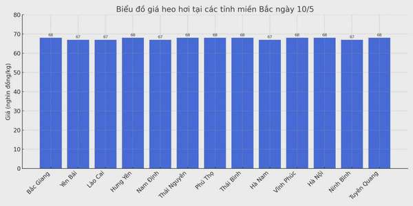 Biểu đồ giá heo hơi tại các tỉnh miền Bắc ngày 10/5.