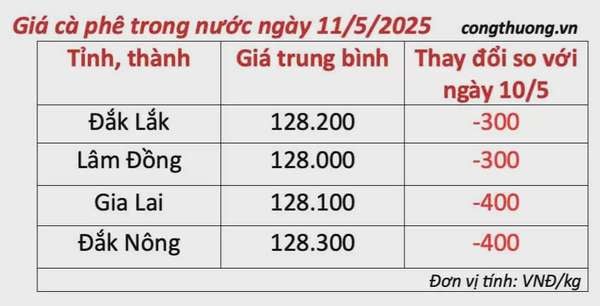 Giá cà phê hôm nay 11/5/2025, trong nước
