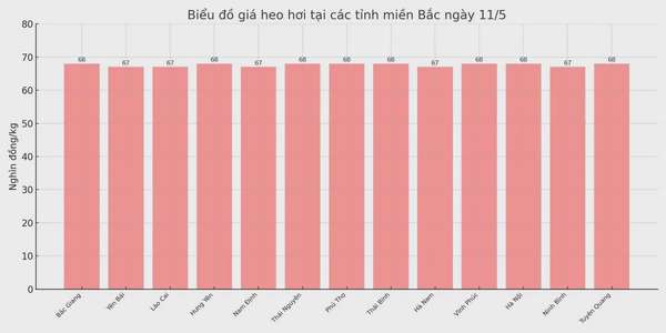 Biểu đồ giá heo hơi tại các tỉnh miền Bắc ngày 11/5.