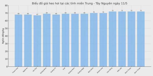 Biểu đồ giá heo hơi tại các tỉnh miền Trung - Tây Nguyên ngày 11/5.