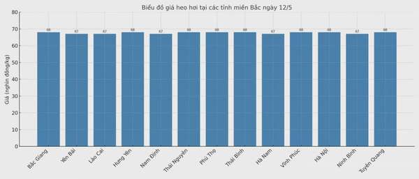 Biểu đồ giá heo hơi tại các tỉnh miền Bắc ngày 12/5.