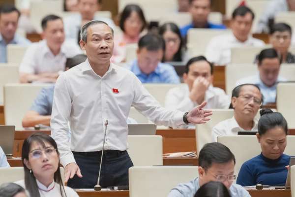 Đại biểu Phan Đức Hiếu (Đoàn Thái Bình) 