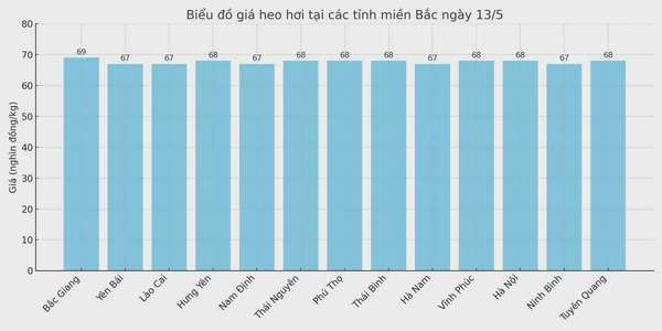 Biểu đồ giá heo hơi tại các tỉnh miền Bắc ngày 13/5.