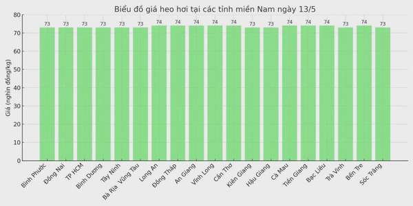 Biểu đồ giá heo hơi tại các tỉnh miền Nam ngày 13/5.