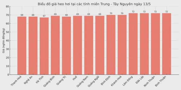 Biểu đồ giá heo hơi tại các tỉnh miền Trung - Tây Nguyên ngày 13/5.