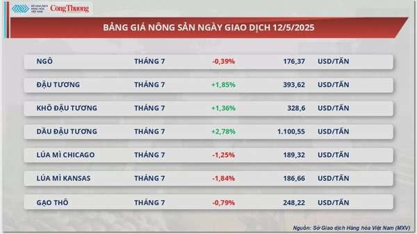 Giá cà phê xuất khẩu chịu sức ép do đồng USD tăng