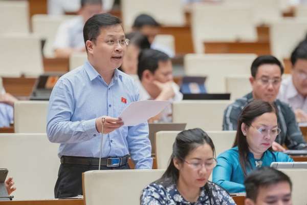 Đại biểu Nguyễn Danh Tú (Đoàn Kiên Giang)