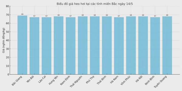 Biểu đồ giá heo hơi tại các tỉnh miền Bắc ngày 14/5.