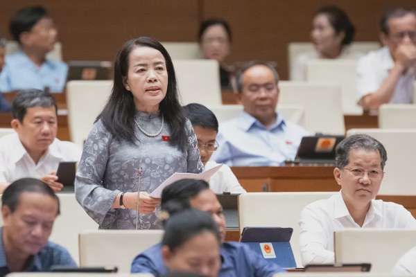 Đại biểu Nguyễn Kim Thúy (Đoàn Đà Nẵng)