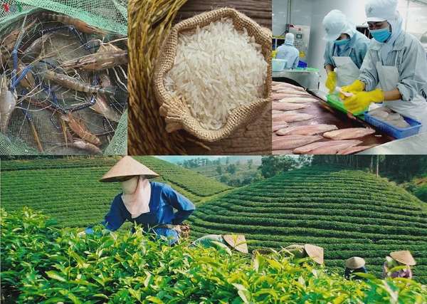 Giải mã chênh lệch chỉ số FTA Index giữa các tỉnh, thành