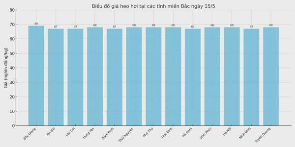 Biểu đồ giá heo hơi tại các tỉnh miền Bắc ngày 15/5.
