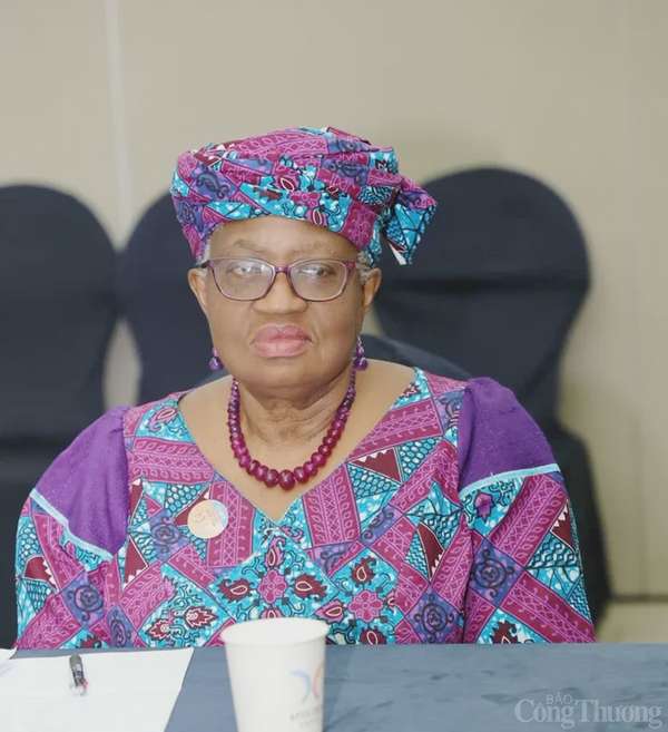 Bộ trưởng Nguyễn Hồng Diên họp song phương với Tổng giám đốc WTO Ngozi Okonjo - Iweala