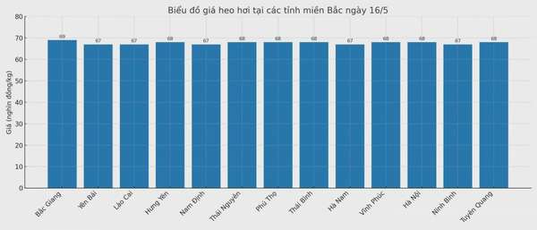Biểu đồ giá heo hơi tại các tỉnh miền Bắc ngày 16/5.