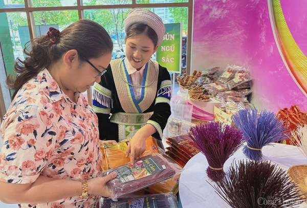 Cao Bằng xúc tiến tiêu thụ nông sản tại TP. Hồ Chí Minh