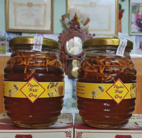 Đi tìm đầu ra cho đông trùng hạ thảo Thái Bình