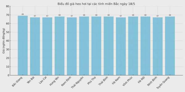 Biểu đồ giá heo hơi tại các tỉnh miền Bắc ngày 18/5.