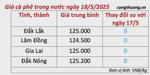 Dự báo giá cà phê ngày mai 19/5/2025, thị trường tăng nhẹ