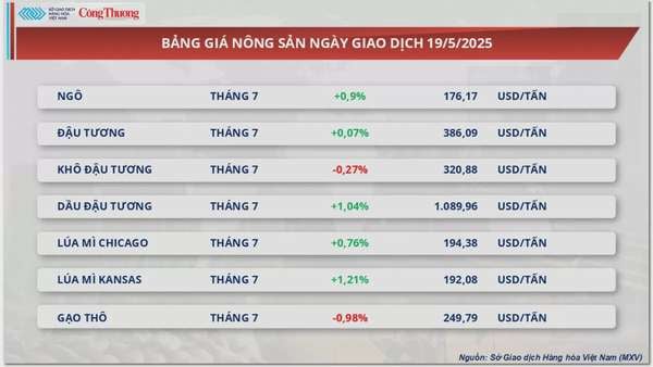 Giá cà phê Arabica tăng mạnh 2,48%, lên 8.260 USD/tấn