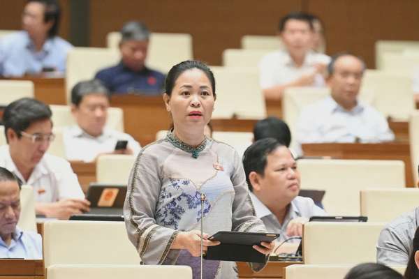 Đại biểu Nguyễn Thị Thu Dung - Đoàn ĐBQH tỉnh Thái Bình