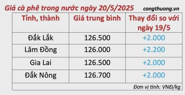 Dự báo giá cà phê ngày mai 21/5/2025, thị trường phục hồi