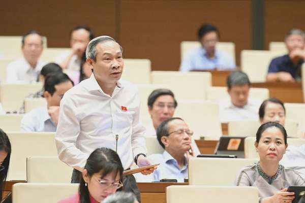 Đại biểu Phan Đức Hiếu - Đoàn ĐBQH tỉnh Thái Bình