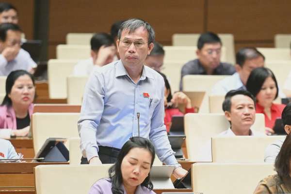 Đại biểu Đồng Ngọc Ba - Đoàn ĐBQH tỉnh Bình Định