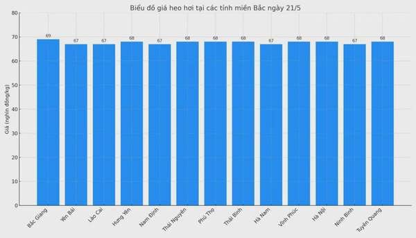 Biểu đồ giá heo hơi tại các tỉnh miền Bắc ngày 21/5.