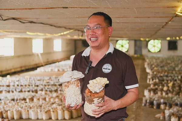 Mô hình trồng nấm hữu cơ tại Công ty Cổ phần Nấm Tốt Nameco (huyện Thanh Sơn, tỉnh Phú Thọ). Ảnh: N. H