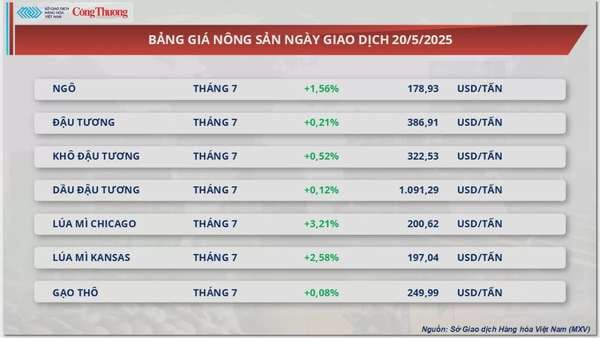 Giá ngô tăng mạnh hơn 1,5% lên 178 USD/tấn