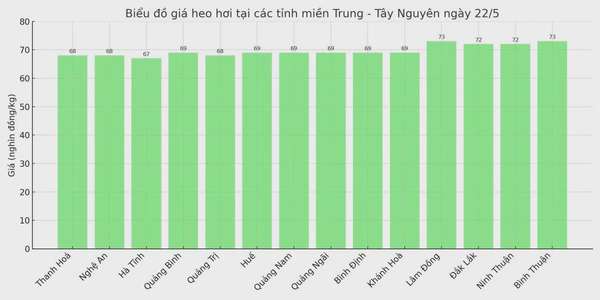 Biểu đồ giá heo hơi tại các tỉnh miền Trung - Tây Nguyên ngày 22/5.