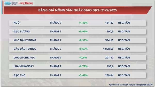Giá đậu tương nối dà đà tăng lên mức 390 USD/tấn