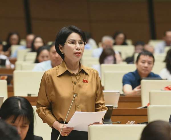 Đại biểu Trần Thị Nhị Hà - Đoàn ĐBQH TP Hà Nộ