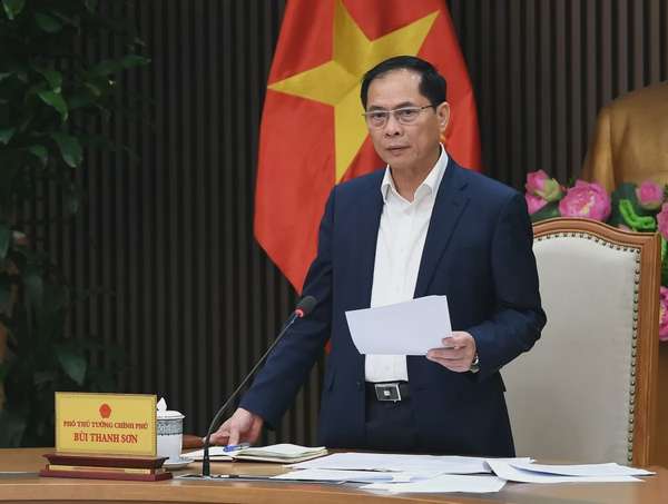 Phó Thủ tướng Chính phủ Bùi Thanh Sơn