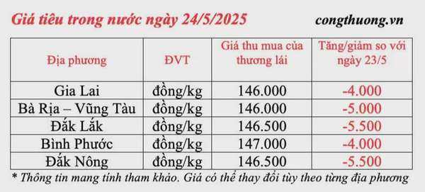 Giá tiêu hôm nay 24/5/2025: trong nước lao dốc giảm sâu