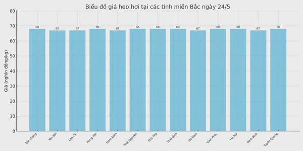 Biểu đồ giá heo hơi tại các tỉnh miền Bắc ngày 24/5.