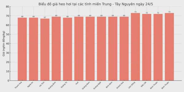 Biểu đồ giá heo hơi tại các tỉnh miền Trung - Tây Nguyên ngày 24/5.