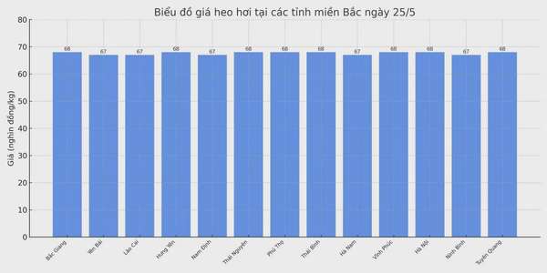 Biểu đồ giá heo hơi tại các tỉnh miền Bắc ngày 25/5.