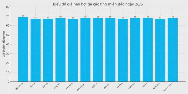 Biểu đồ giá heo hơi tại các tỉnh miền Bắc ngày 26/5.