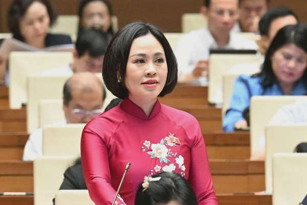 Đại biểu Trần Thị Hồng Thanh - Đoàn Đại biểu Quốc hội tỉnh Ninh Bình