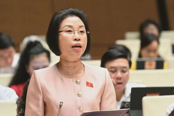 Đại biểu Phạm Thị Thanh Mai - Đoàn Đại biểu Quốc hội TP Hà Nội