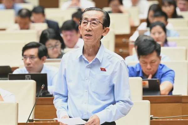 Đại biểu Trần Hoàng Ngân - Đoàn Đại biểu Quốc hội TP.HCM