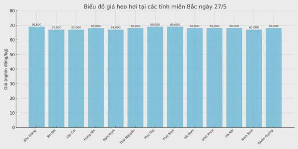 Biểu đồ giá heo hơi tại các tỉnh miền Bắc ngày 27/5.