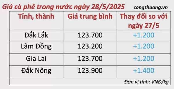 Giá cà phê hôm nay 28/5/2025, thị trường