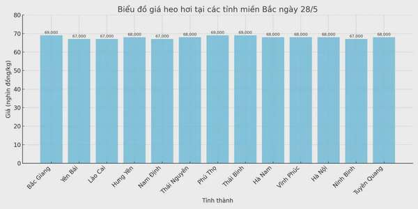 Biểu đồ giá heo hơi tại các tỉnh miền Bắc ngày 28/5.