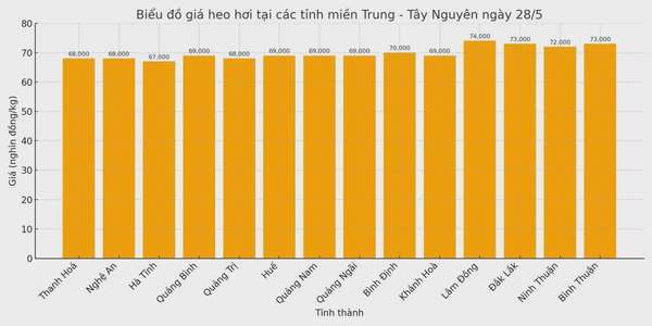 Biểu đồ giá heo hơi tại các tỉnh miền Trung - Tây Nguyên ngày 28/5.