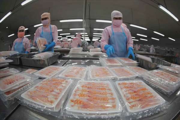 Thực thi CPTPP: Ứng phó phòng vệ, tạo đà xuất khẩu