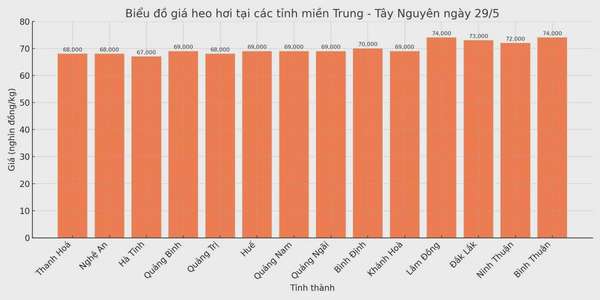 Biểu đồ giá heo hơi tại các tỉnh miền Trung - Tây Nguyên ngày 29/5.