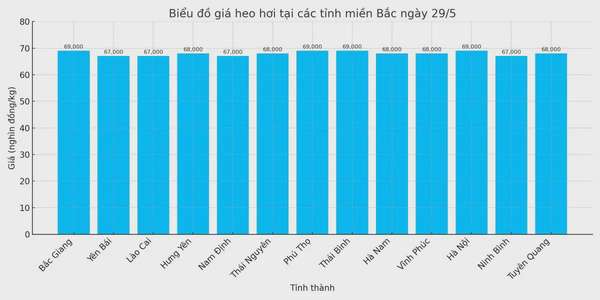 Biểu đồ giá heo hơi tại các tỉnh miền Bắc ngày 28/5.